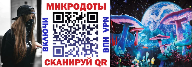 mega ONION  Чернушка  Галлюциногенные грибы Cubensis 