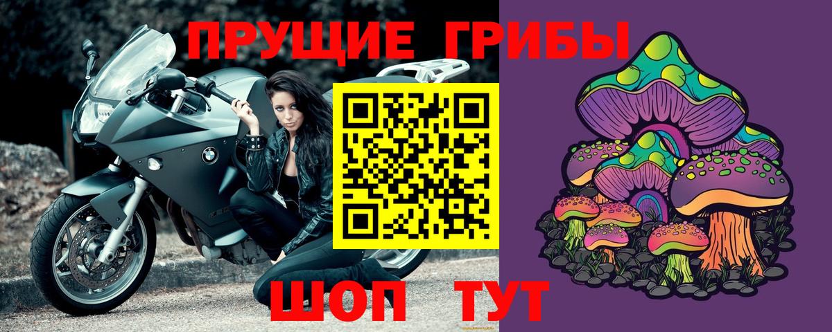 Псилоцибиновые грибы прущие грибы  Вход с VPN  Псилоцибиновые грибы мицелий  Чернушка 