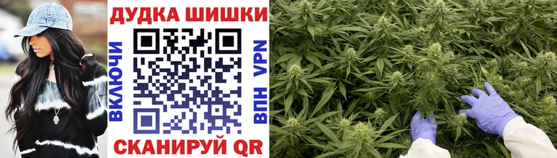 дарнет шоп  mega как зайти  Конопля OG Kush  shop телеграм  Чернушка 
