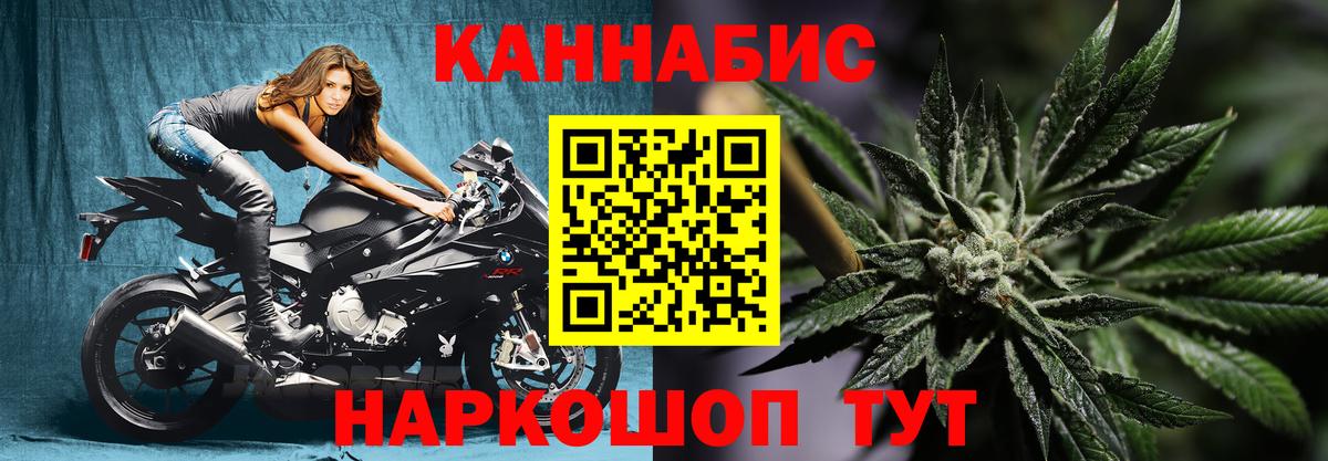 Каннабис ГИДРОПОН Чернушка